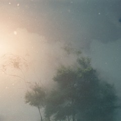 Garden of Awakening