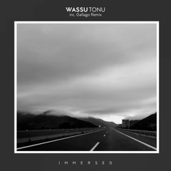 Premiere: Wassu - Tonu [Immersed]