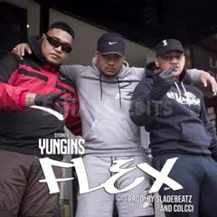 Sydney Yungins — Flex