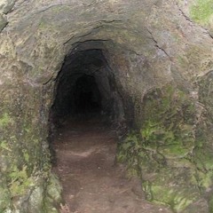 exam gloves <draft prod.wiseguybruno>