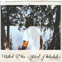 What You Need (Interlude)