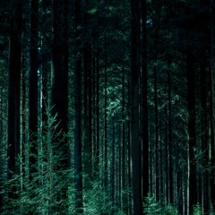 Ambient Vol. 01