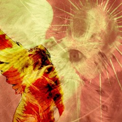 miami (prod. 1nf3xxtus)