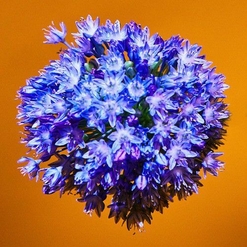 K.vsh - Better (Feat. 기리보이)
