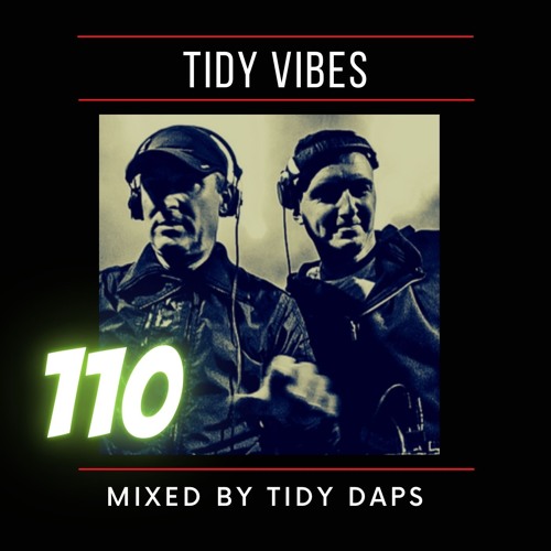 Tidy Vibes 110