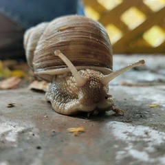 Blank & Jones ft. Jason Caesar - A Drop Of Rain.mp3