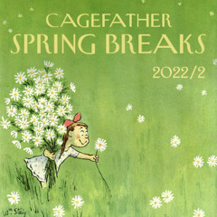 spring breaks 2022 / 2  ( extended version )