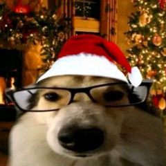 GIÁNG SINH PARODY 2024 - KIM & GNOUD