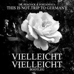 Dr. Peacock & Fortanoiza - This is Not Trip to Germany (Vielleicht Vielleicht Bootleg)