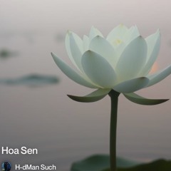 Hoa sen Trắng.