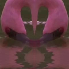 Lofi Dub - Full Moon Nights