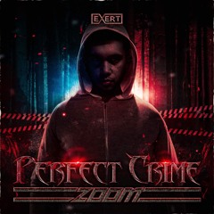 Zoom - Perfect Crime