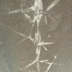 ISTID III