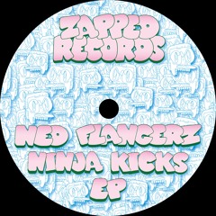 Ned Flangerz - Crowd Control (Original Mix)