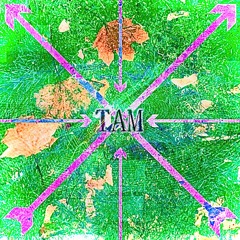 Tam (Nightcore)