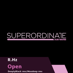 R.Hz - Open (DeeplyBlack Rmx) [Superordinate Dub Waves]