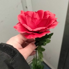 Pls Don't Crush My Heart With Your Cuban Heel