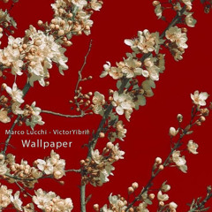 Marco Lucchi & VictorYibril - wallpaper music n*1 [variations]
