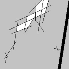 glass dissection