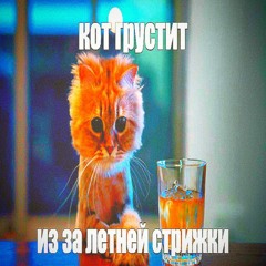 basedgod фристайл прод я