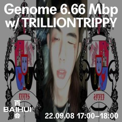 Genome 6.66 Mbp w/ Trilliontrippy on Baihui Radio