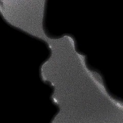 nina kraviz - tarde (zav remix) (Free DL)