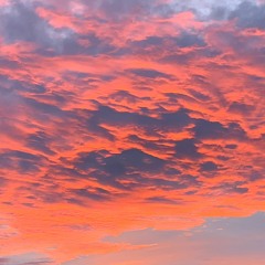 PIMPHAPPYGDAY ft.liltyrant (Prod.STAIN)