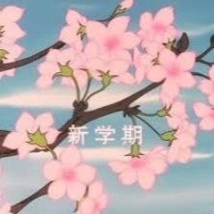 Cherry Blossoms