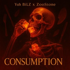 Yuh BiLZ x ZooStone - Consumption_freestyle(rough mix)