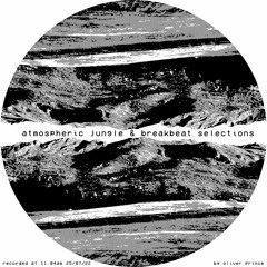 atmospheric jungle & breakbeat selections (mix)
