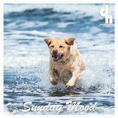 Sunday Mood 017