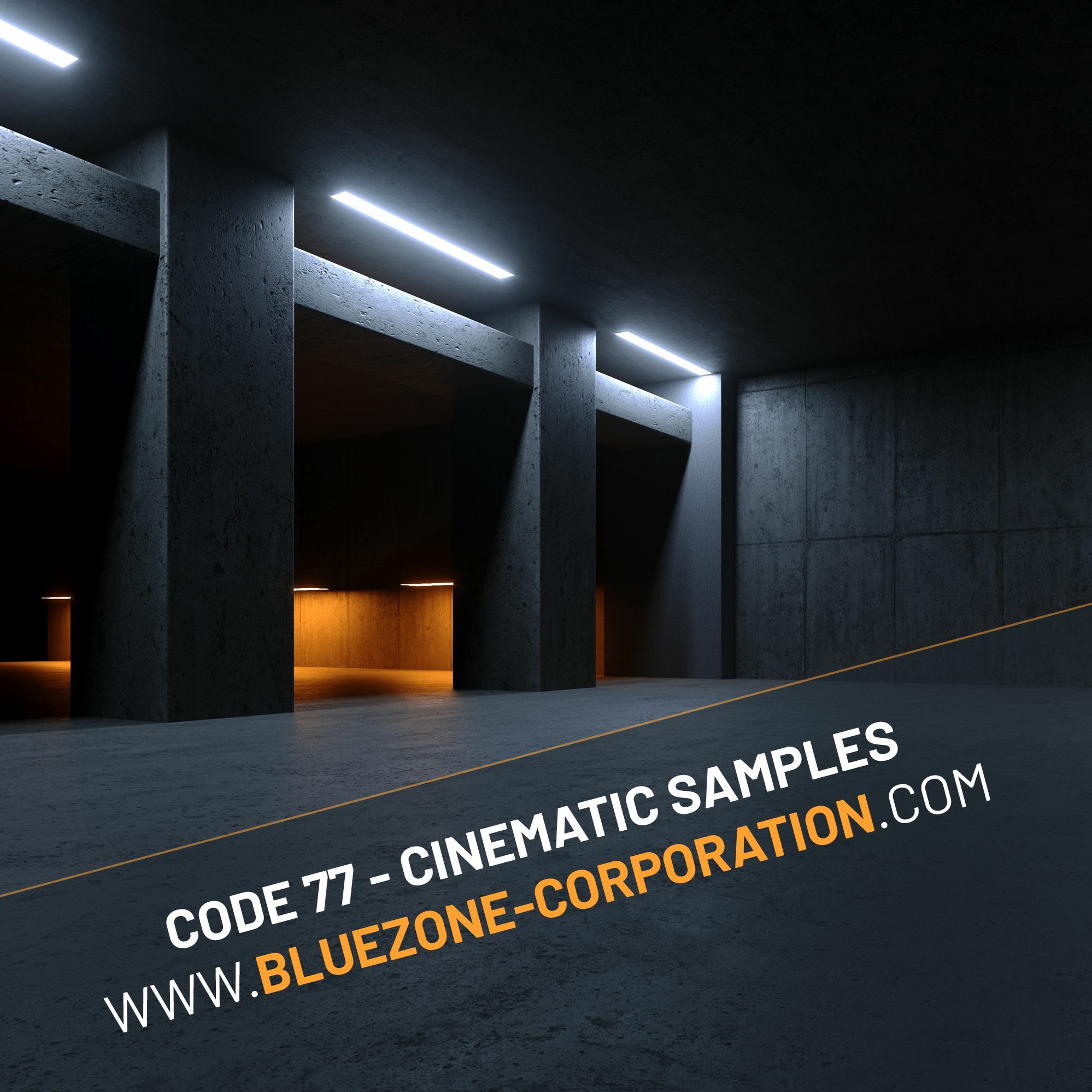 Bluezone Corporation