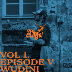 Wudini V1-E5
