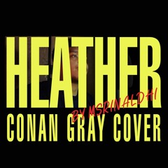 Heather - Conan Gray Cover By Msrinaldhi (short Version)