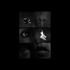 Terror Cognitive Dissonance - TRANSFIGURE US