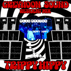 GreyHoon Resident Mix 02 - Trippy Hippy - Acid Avenue