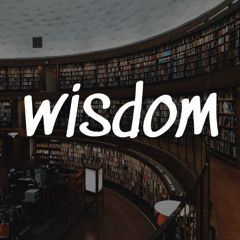 Mark McDowell -  Wisdom - 11-05-25