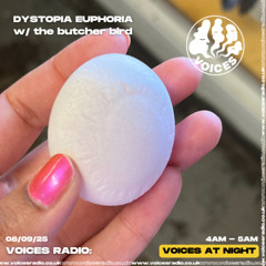 Dystopia Euphoria - 8th September 2025