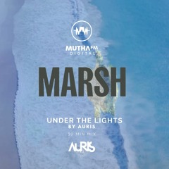 Marsh Feature - Under The Spotlight by AURIS
