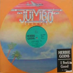 Herbie Goins - I Feel Good (12'' Version) [Promo]