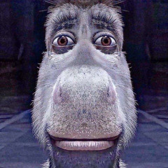 i fkin hate this song w/ leax {original}