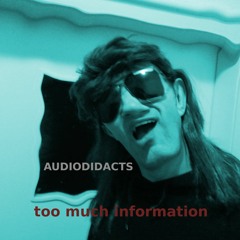 AUDIODIDACTS - Too much information