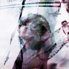 Indefinite Pitch PREMIERES. Ronny Pinazza - Die Larven [Not On Label]