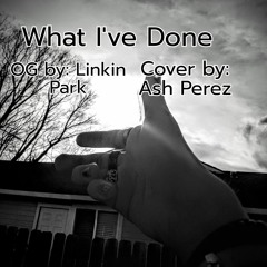 What Ive Done Cover