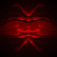 That's not what they told us (NO AIR)