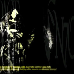 THEODORA - FNG(vn7o remix)