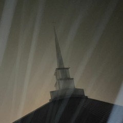 06. sundaynight (prod woodpecker)