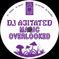 dollyTS04: DJ AGITATED - Magic Overlooked