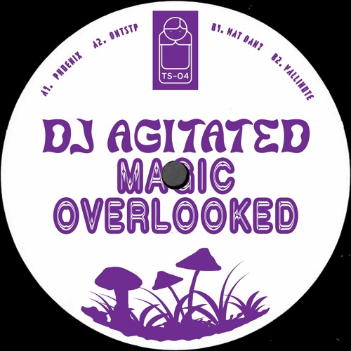 2 DJ AGITATED - DNTSTP
