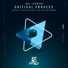 Roi Ferrari - Critical Process (Nicolas Benedetti Remix) [Droid9]